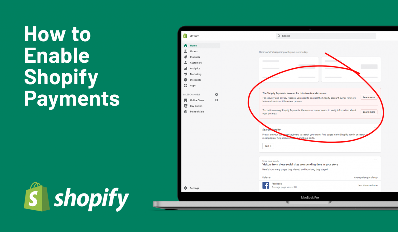 How to enable Shopify Payments